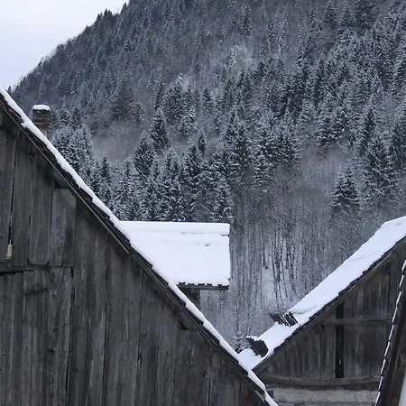 Apartament Casa Pesarina